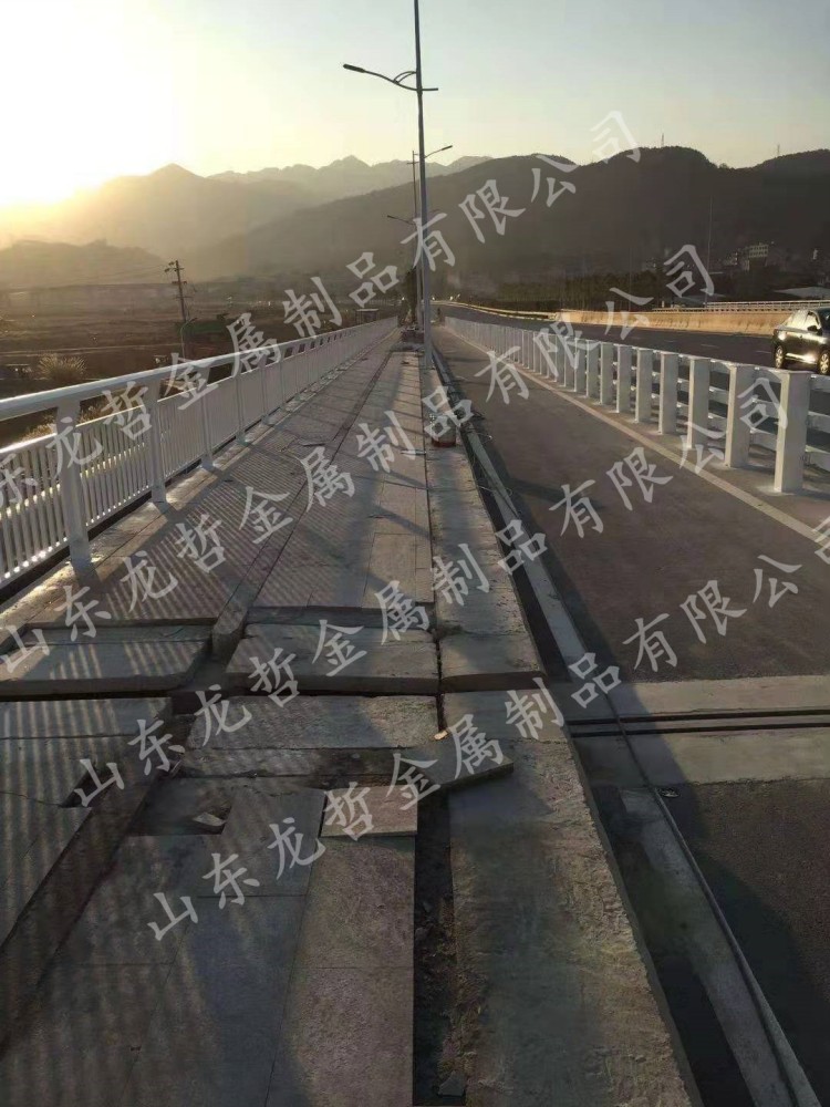 浙江桥梁防撞护栏工程案例